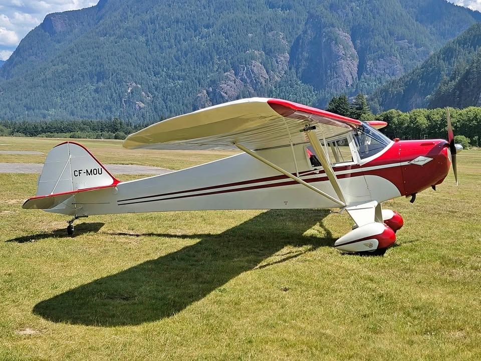 1939 Taylorcraft BL-65, photo 1