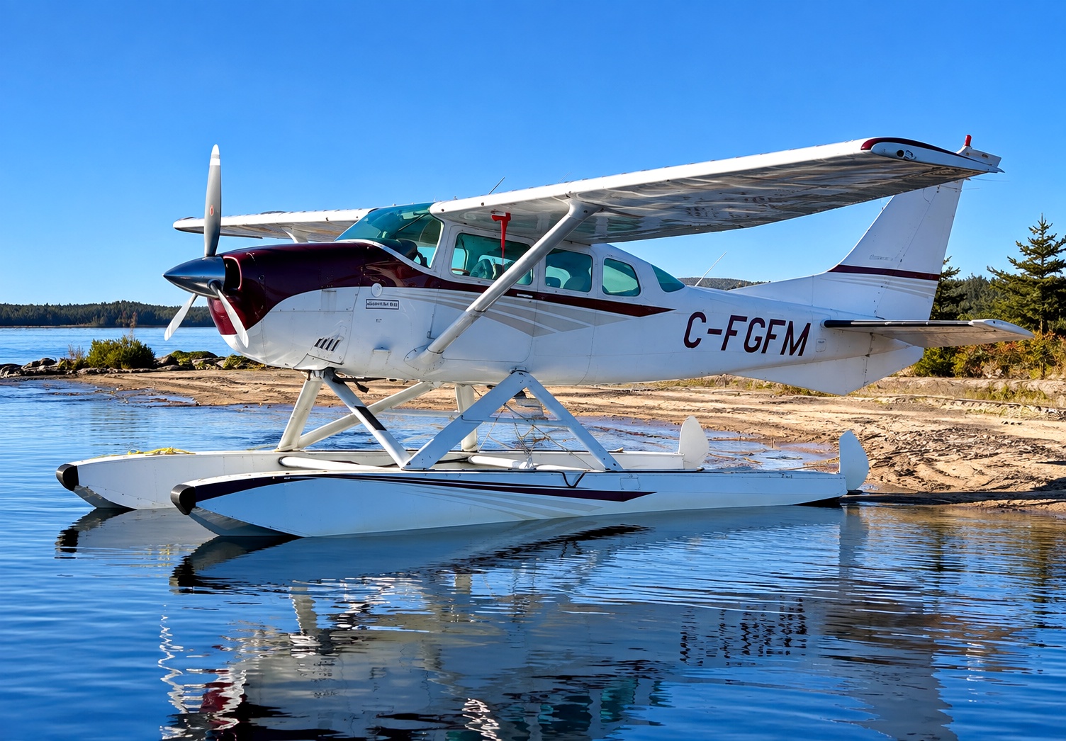 1974 Cessna U206F, photo 1
