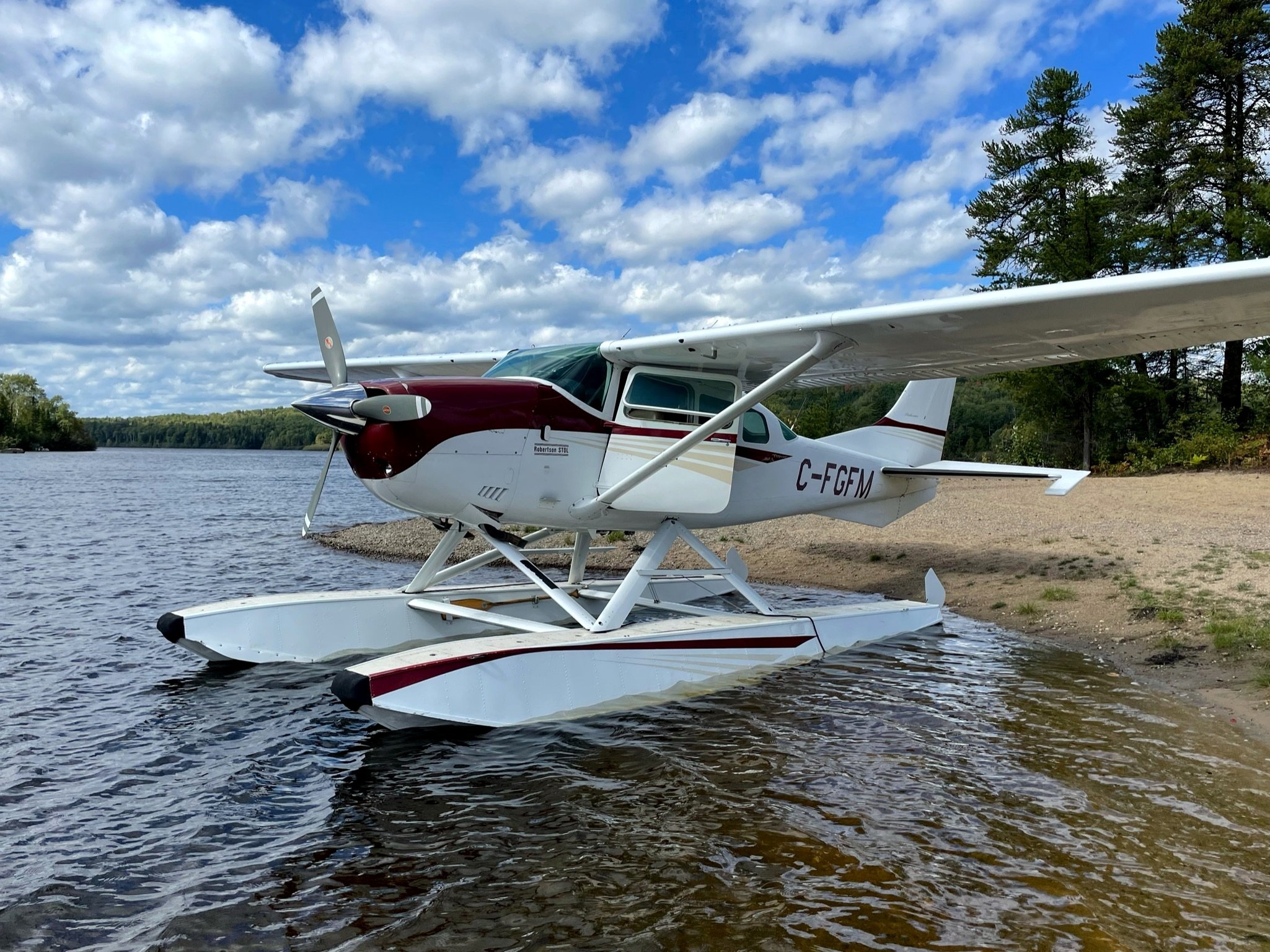 1974 Cessna U206F, photo 3